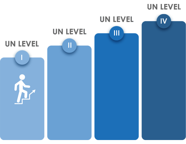 UN Language Levels