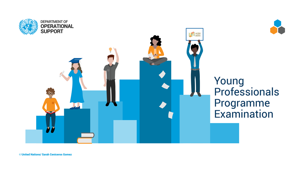 Young Professionals Programme